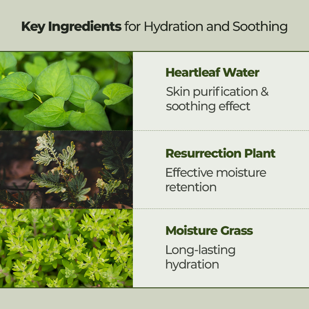 JM Solution Heart Leaf Cleansing Oil + Heart Leaf Cleansing Foam
